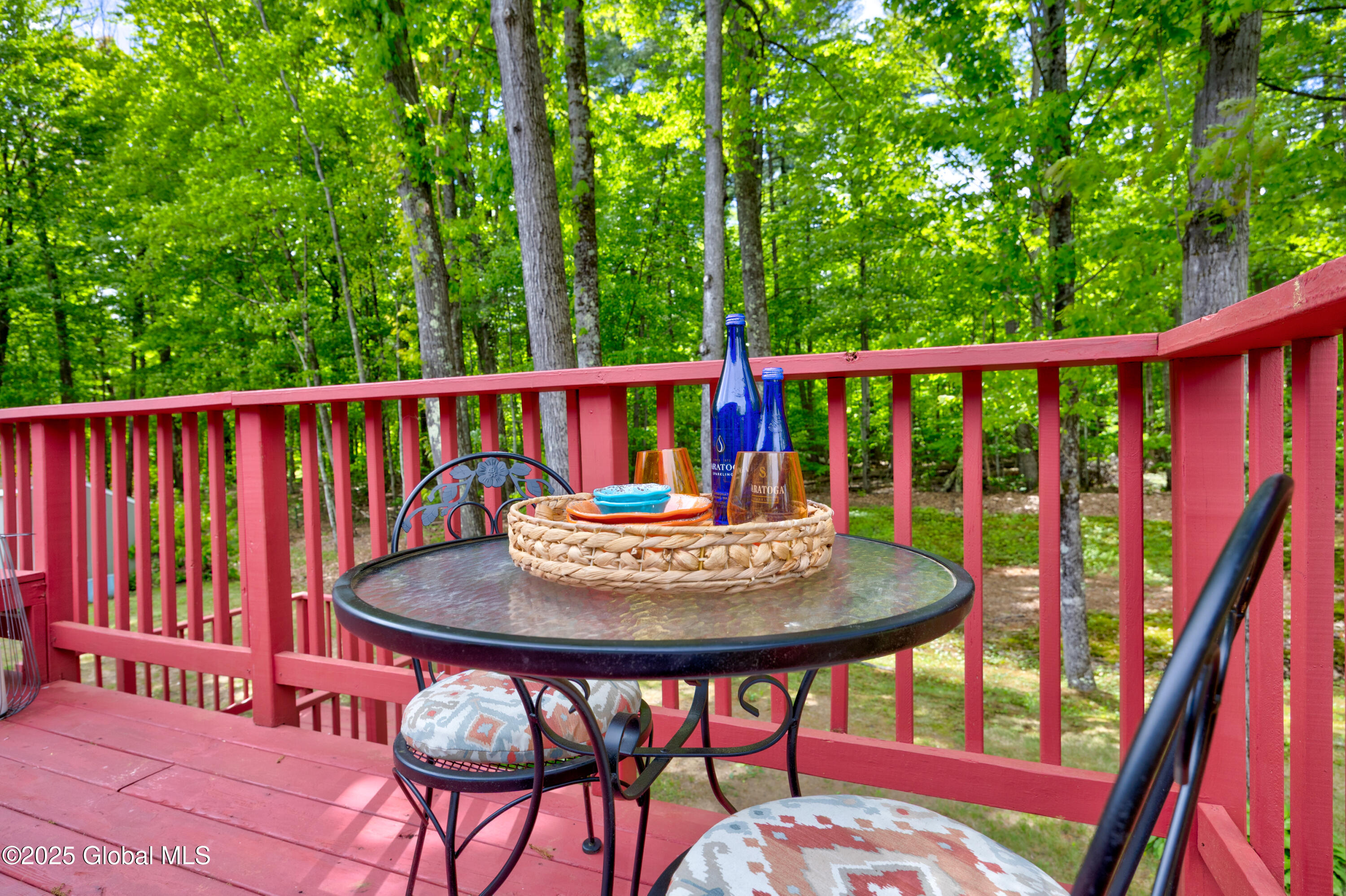 25 Lamplighter Lane Lane, Saratoga Springs, New York image 10