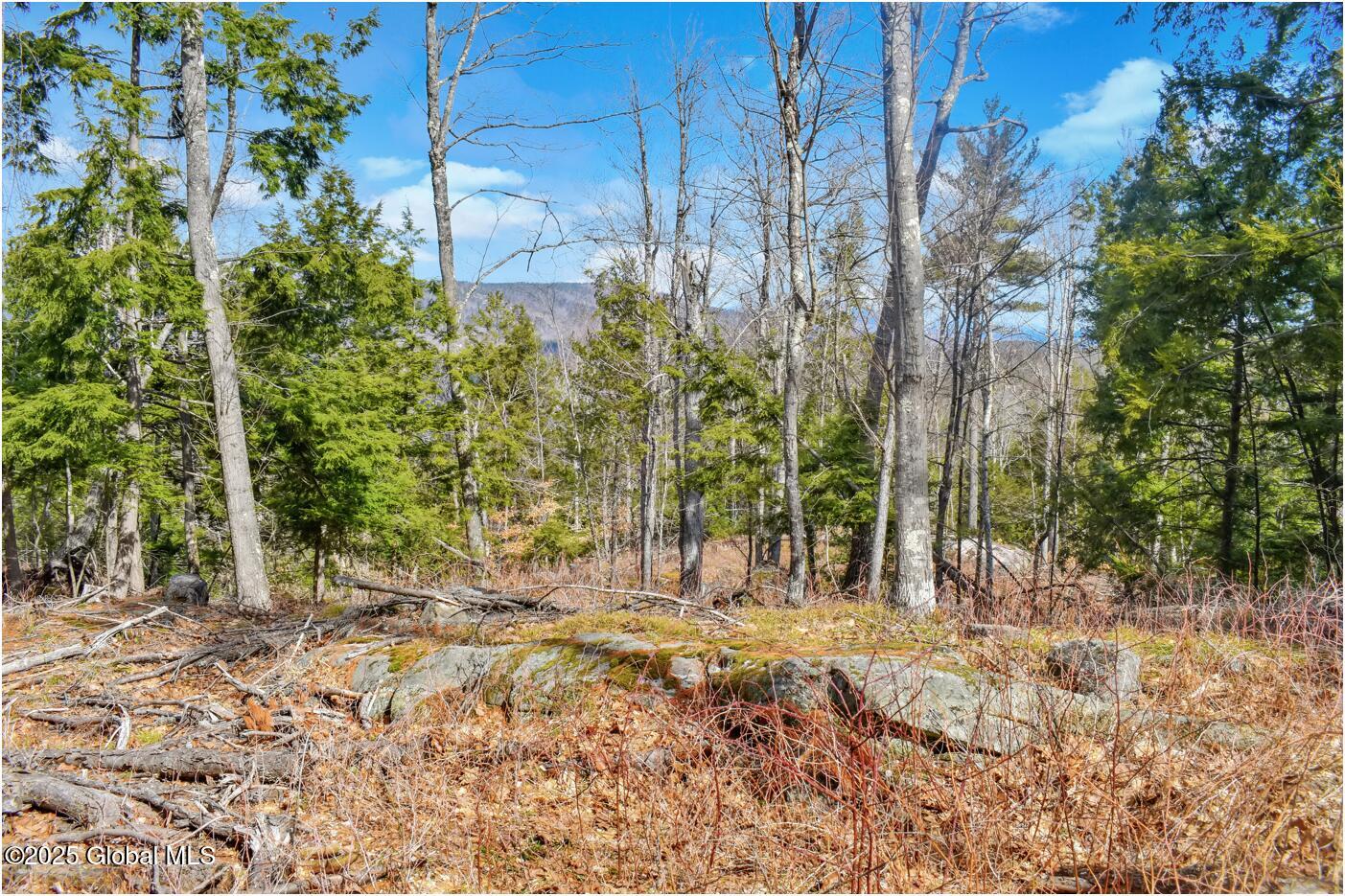 L18 Mountain Meadows Road, Adirondack, New York image 7