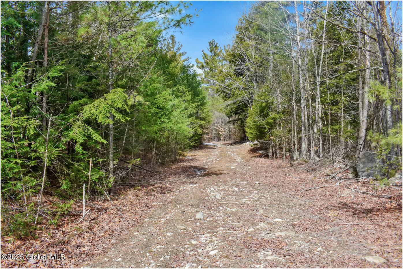 L18 Mountain Meadows Road, Adirondack, New York image 23