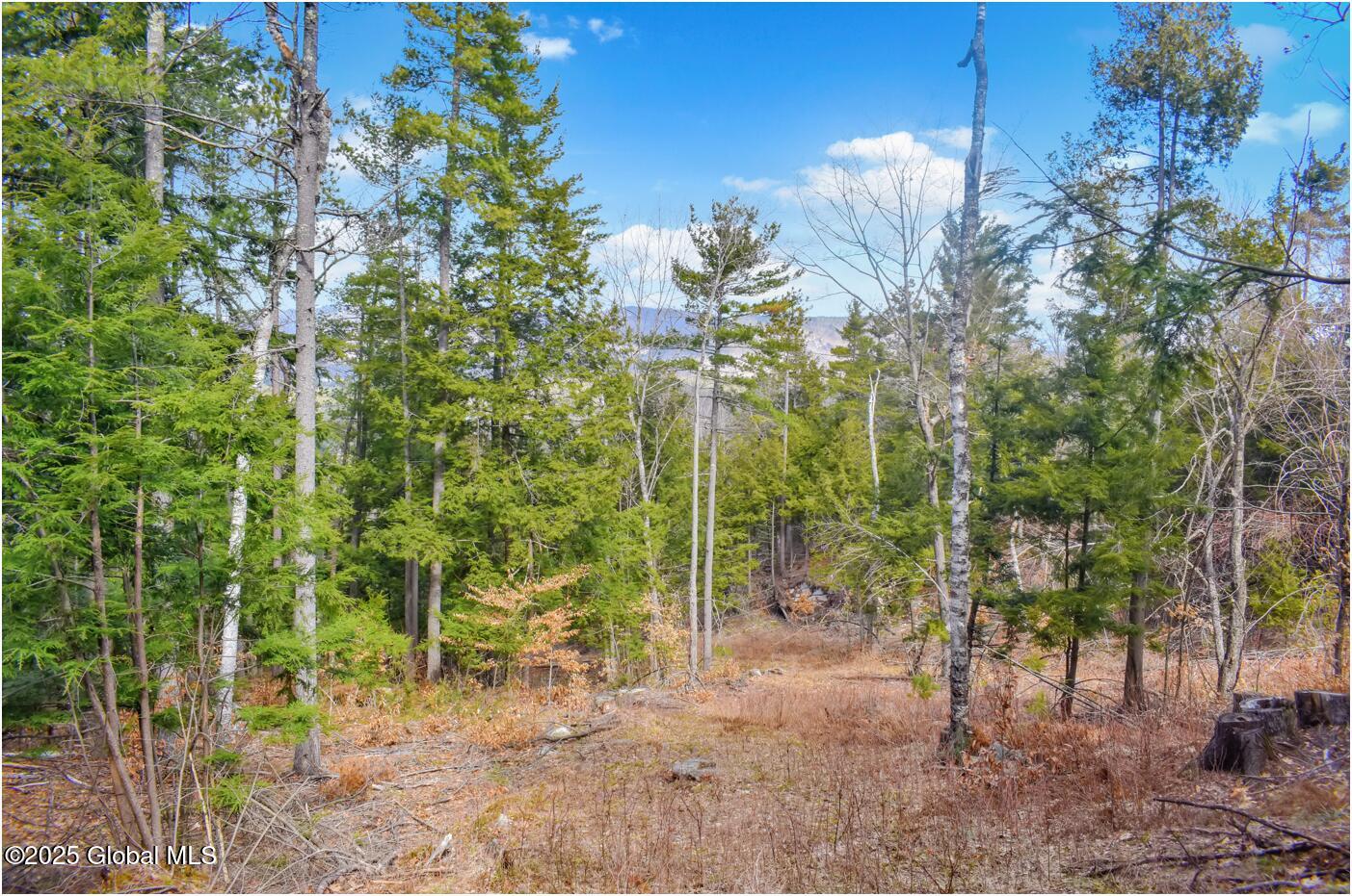 L18 Mountain Meadows Road, Adirondack, New York image 16