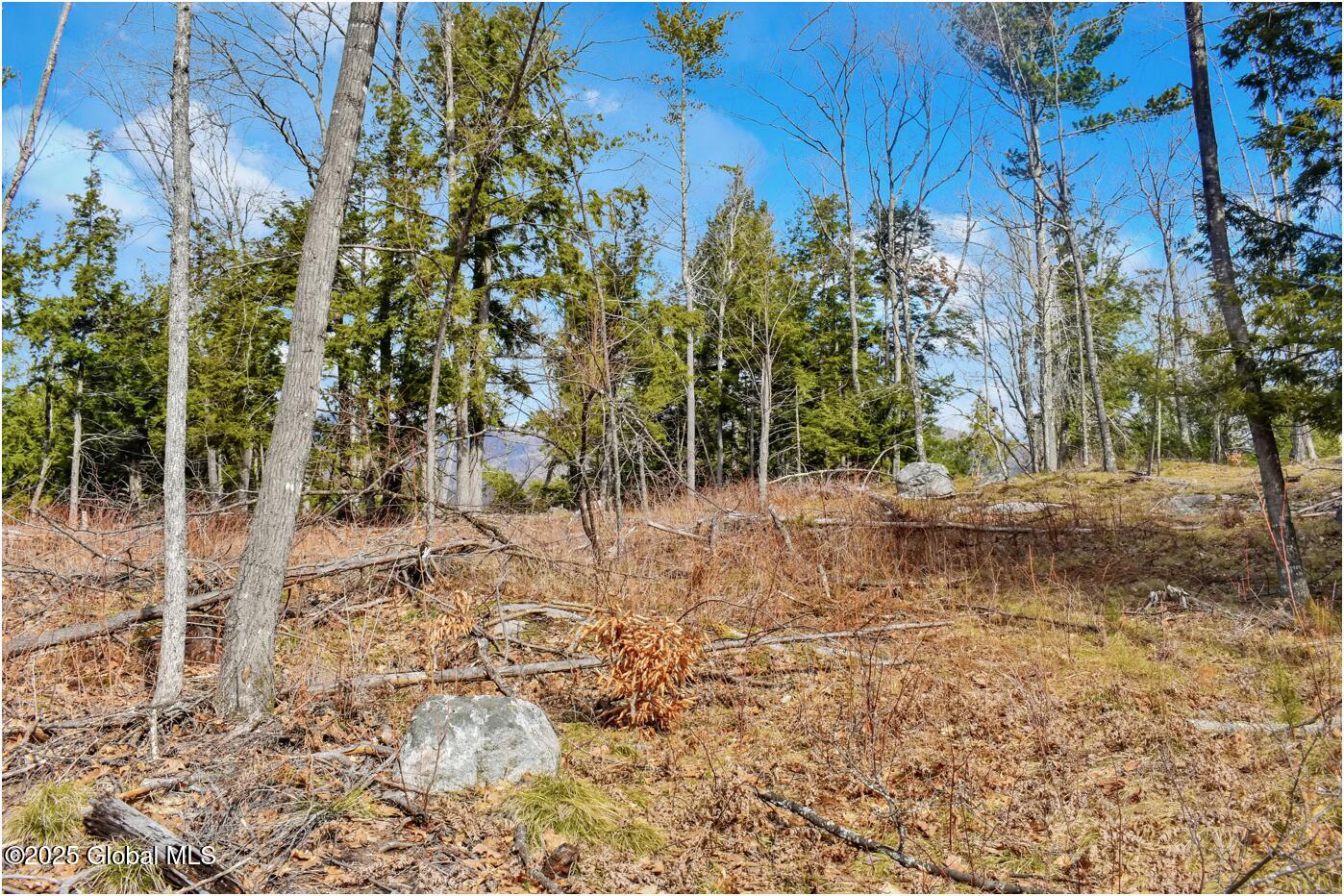 L18 Mountain Meadows Road, Adirondack, New York image 10