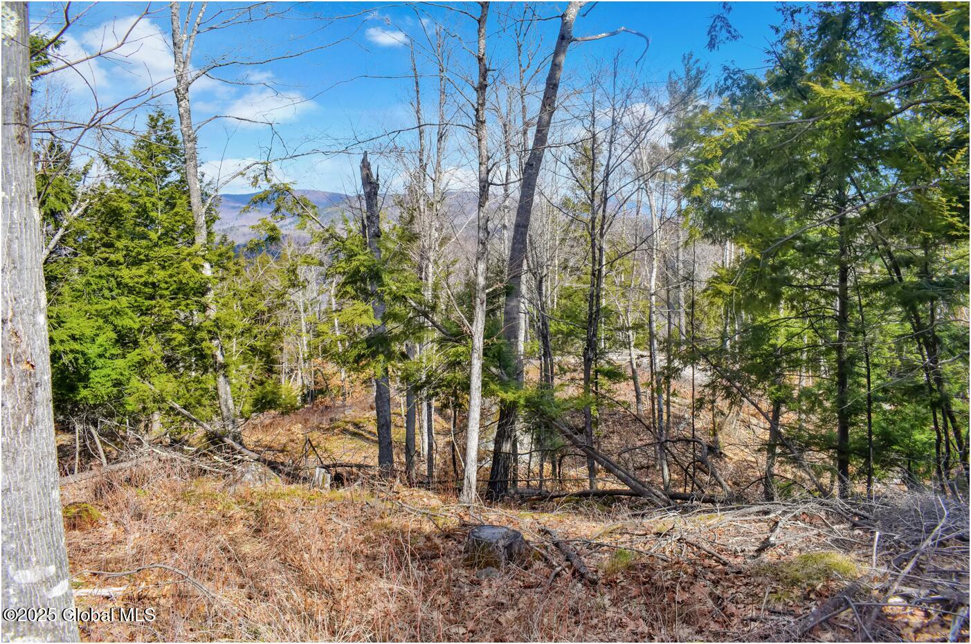 L18 Mountain Meadows Road, Adirondack, New York image 20