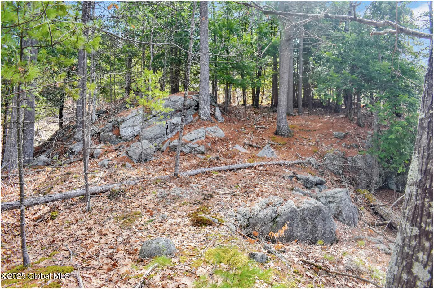 L18 Mountain Meadows Road, Adirondack, New York image 21