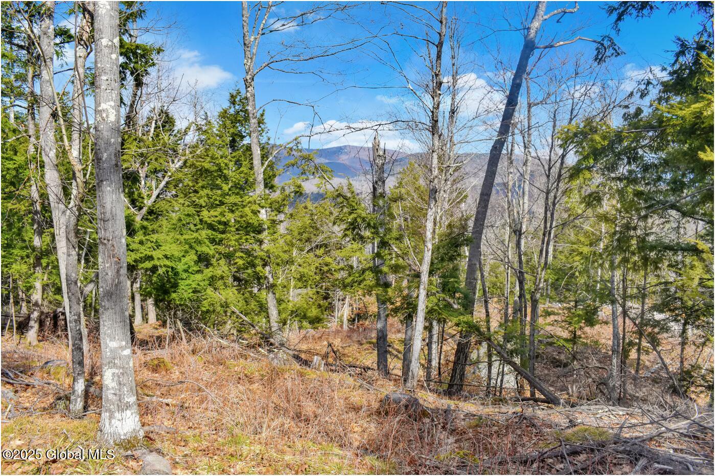 L18 Mountain Meadows Road, Adirondack, New York image 6