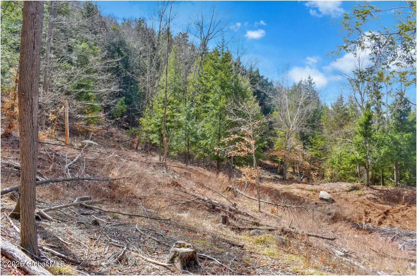 L18 Mountain Meadows Road, Adirondack, New York image 18