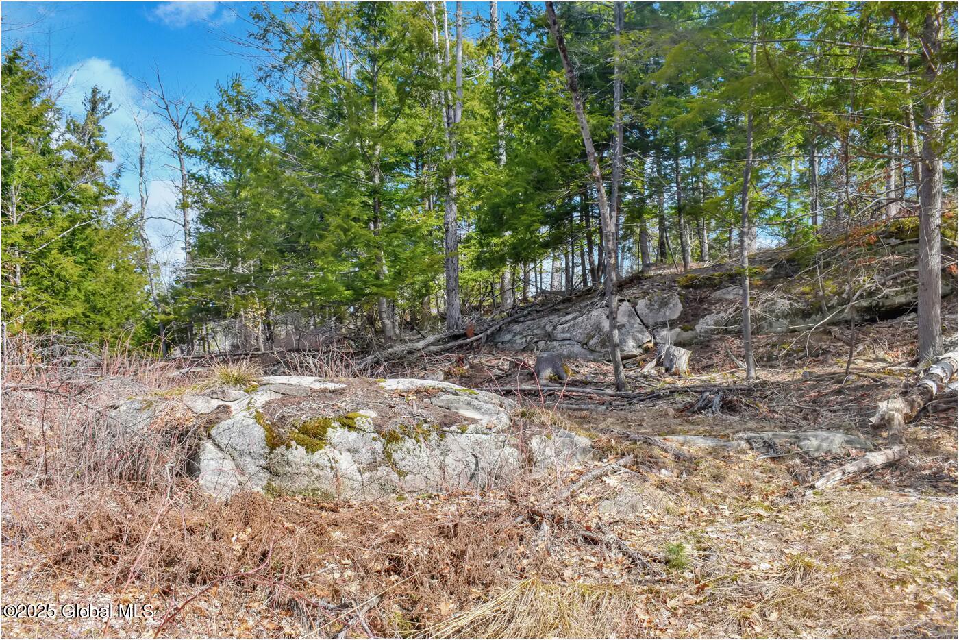 L18 Mountain Meadows Road, Adirondack, New York image 19