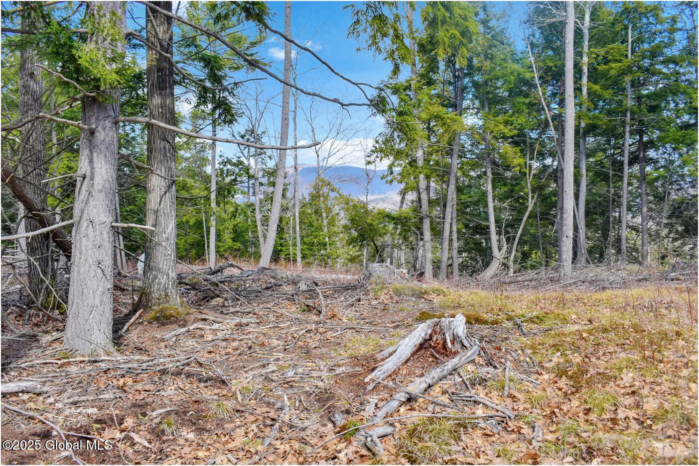 L18 Mountain Meadows Road, Adirondack, New York image 11