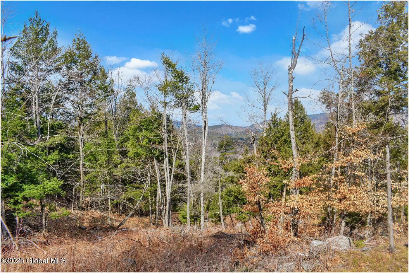 L18 Mountain Meadows Road, Adirondack, New York image 8