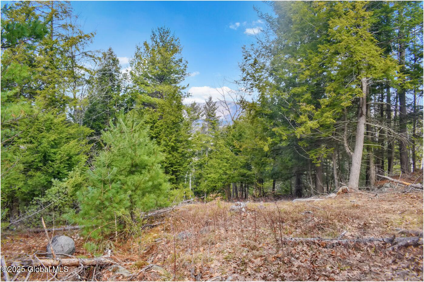 L18 Mountain Meadows Road, Adirondack, New York image 14