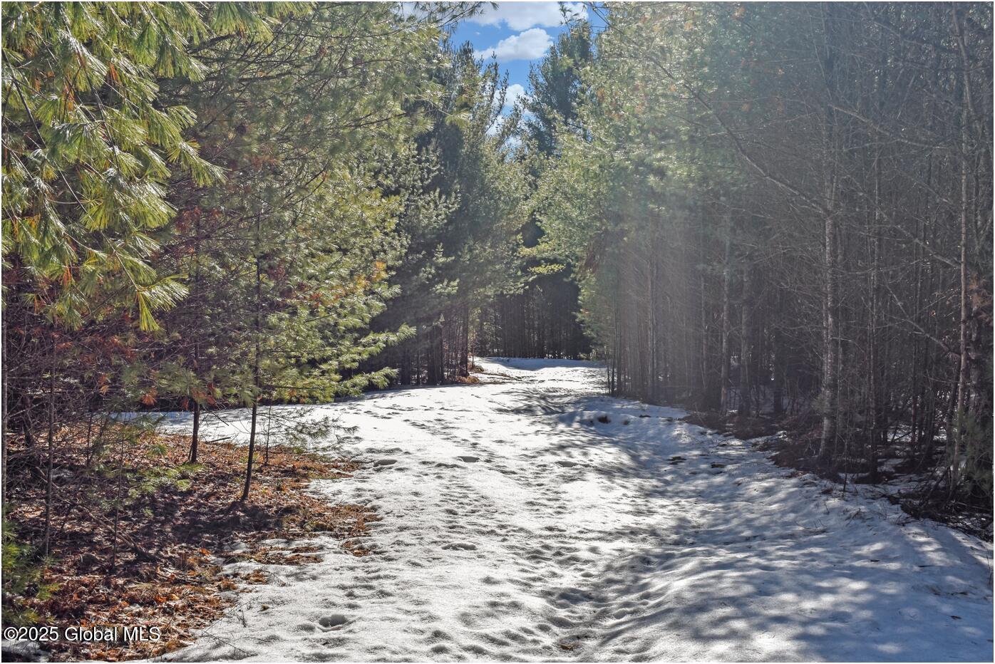 L18 Mountain Meadows Road, Adirondack, New York image 25