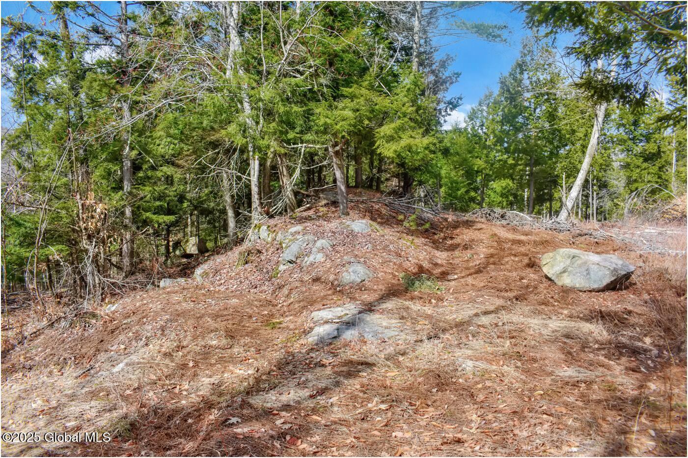 L18 Mountain Meadows Road, Adirondack, New York image 22