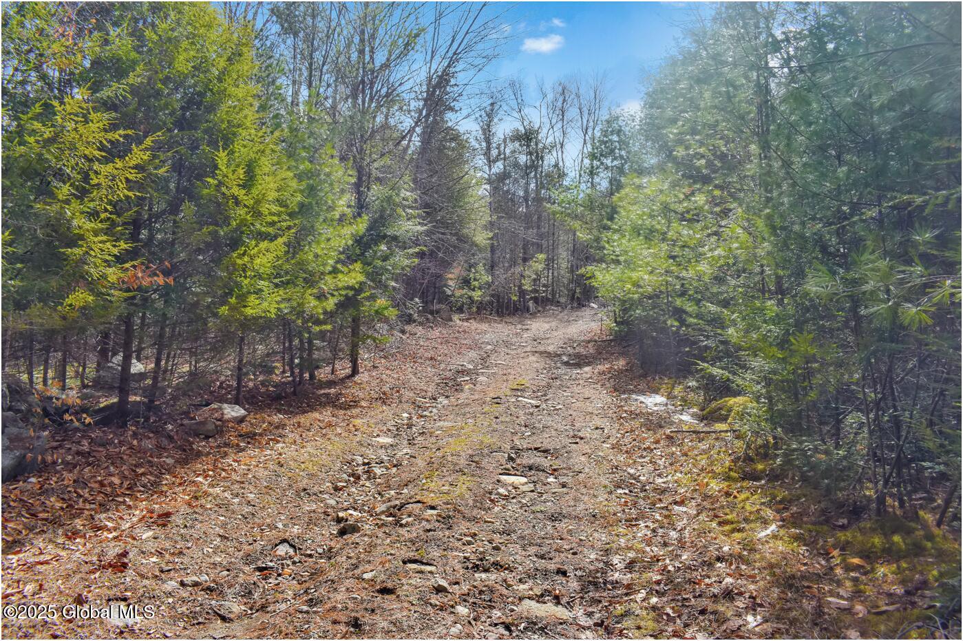 L18 Mountain Meadows Road, Adirondack, New York image 24