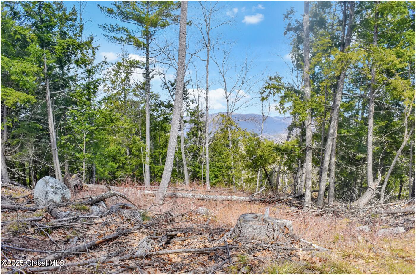 L18 Mountain Meadows Road, Adirondack, New York image 12