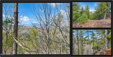 Vacant Land For Sale - L18 Mountain Meadows Road<br/> Warren County, Adirondack, NY 12808