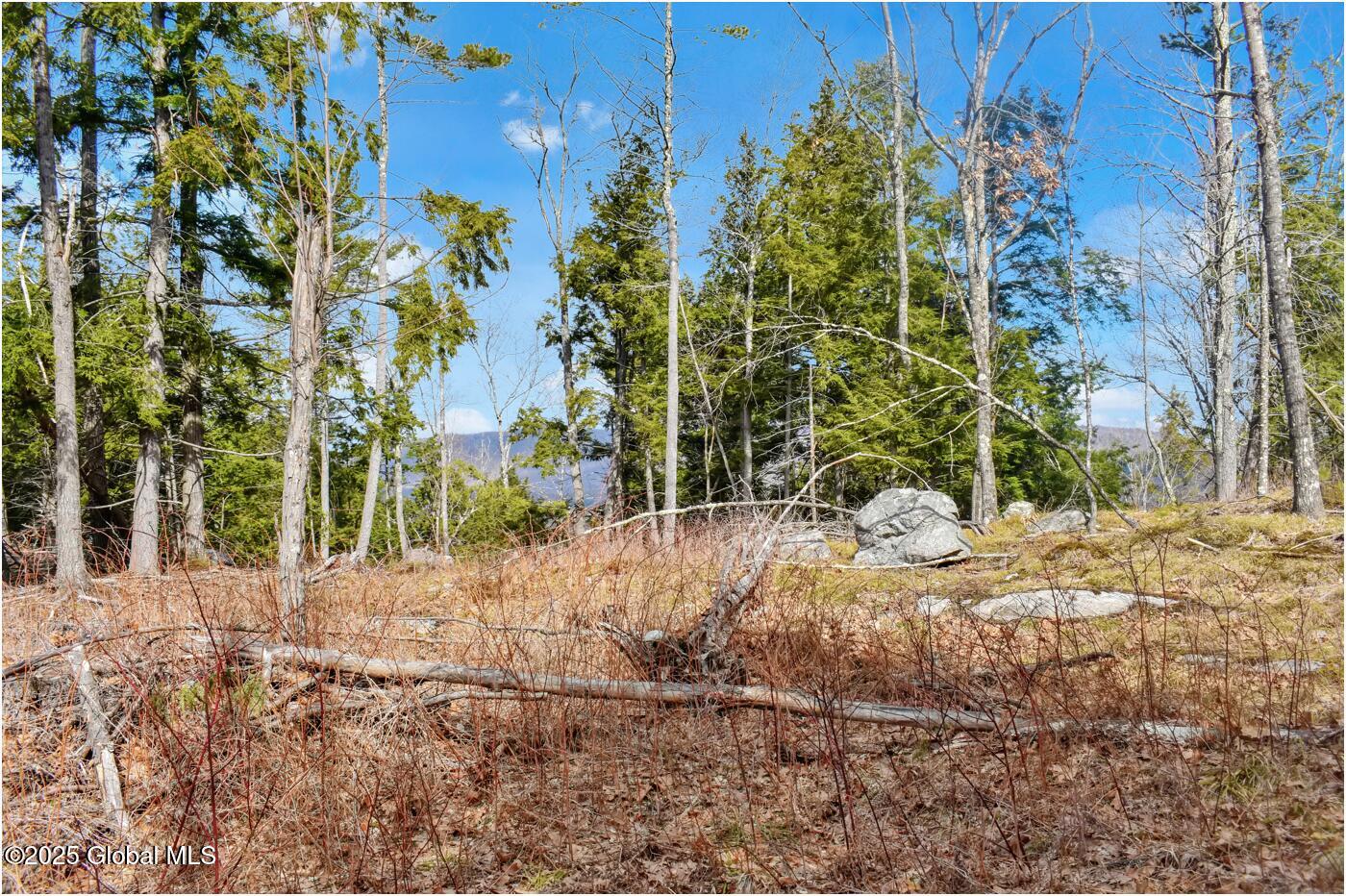 L18 Mountain Meadows Road, Adirondack, New York image 9