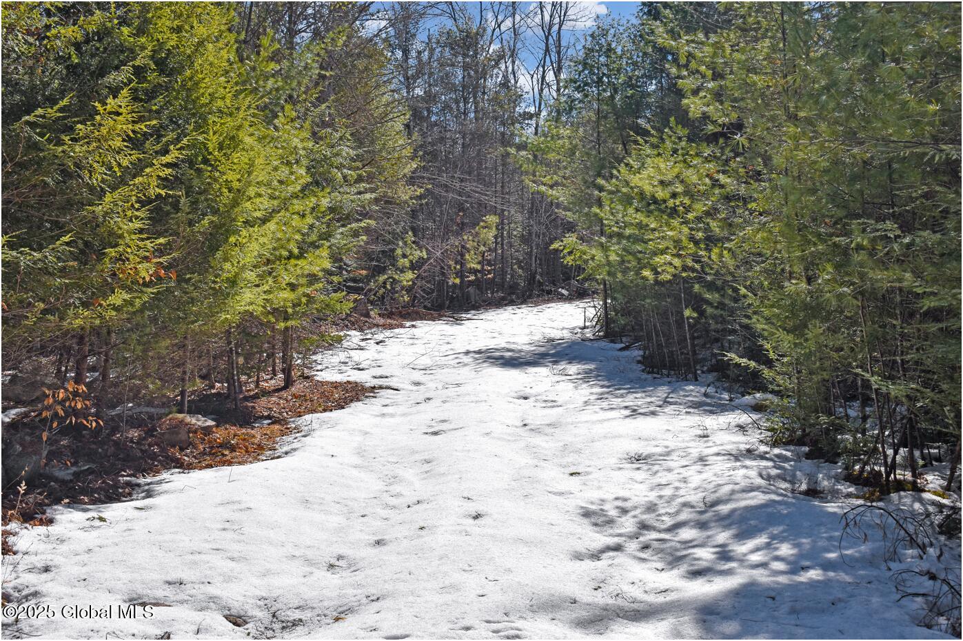 L18 Mountain Meadows Road, Adirondack, New York image 26