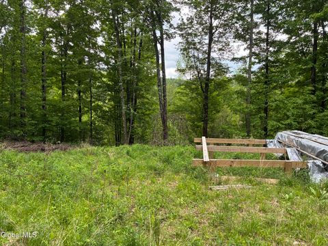Vacant Land For Sale - 38 Hill Hollow Rd Road<br/> Petersburgh, NY 12138