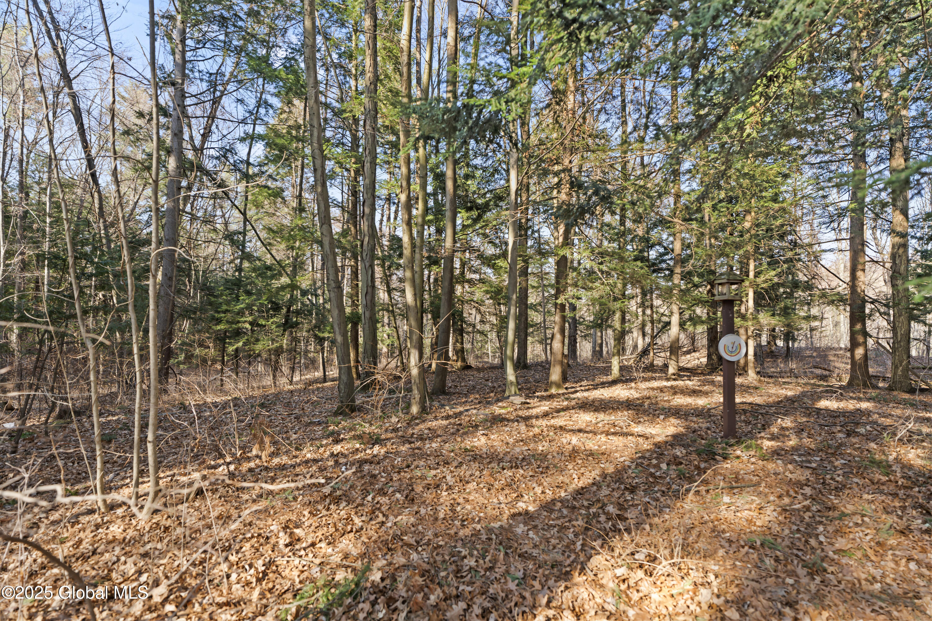 69 Wineberry Lane, Ballston Spa, New York image 26
