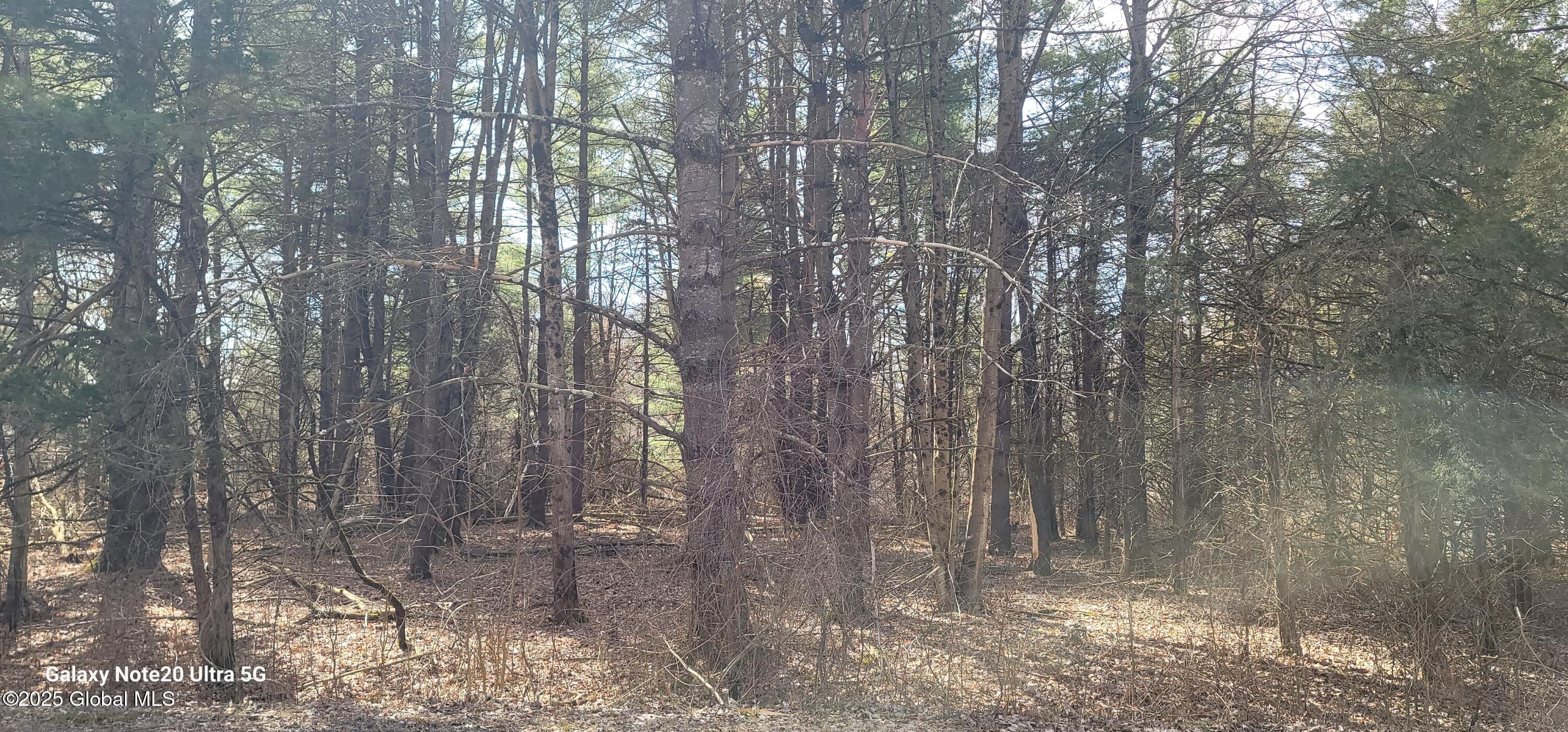 1698 Sleepy Hollow Road Rd, Coxsackie, New York image 5