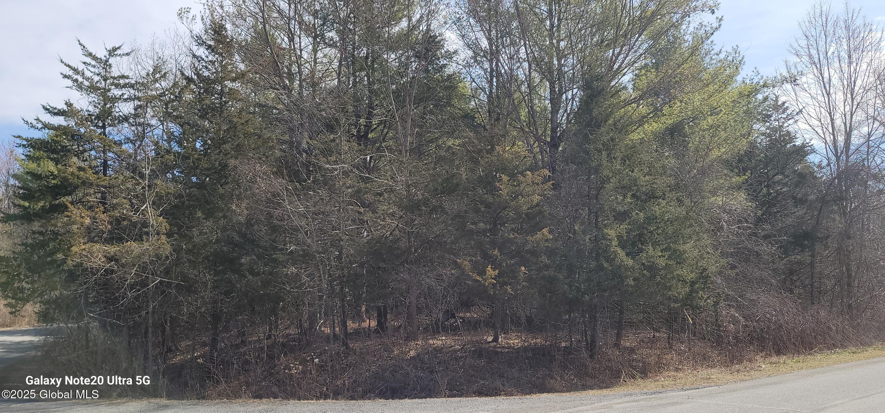 1698 Sleepy Hollow Road Rd, Coxsackie, New York image 1