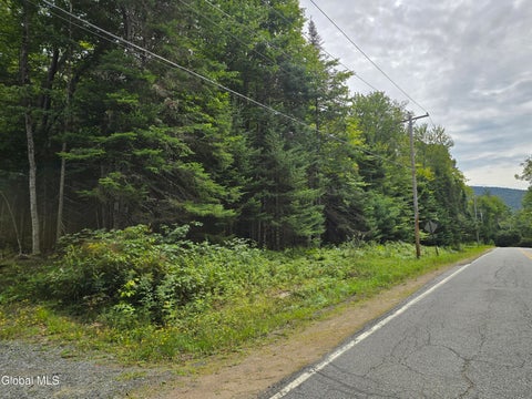 Photo of 608 S Shore Road, Speculator, NY 12164 (MLS # 202625157)