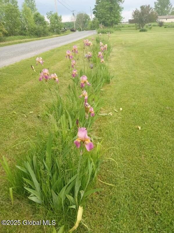 40 W Starbuck Lane, Fort Ann, New York image 42