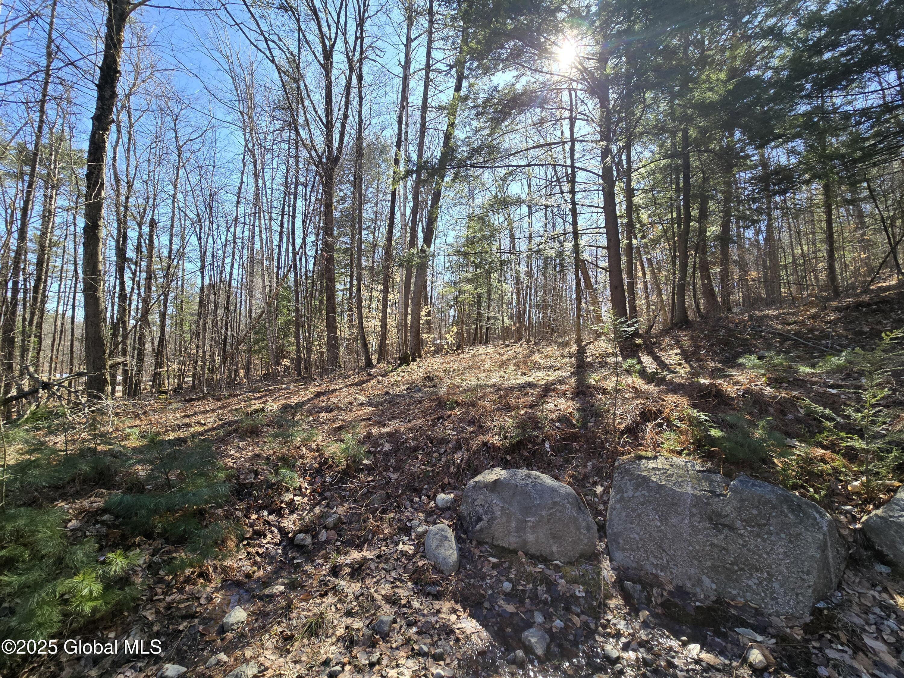 L11.231 Valentine Pond Road, Pottersville, New York image 8