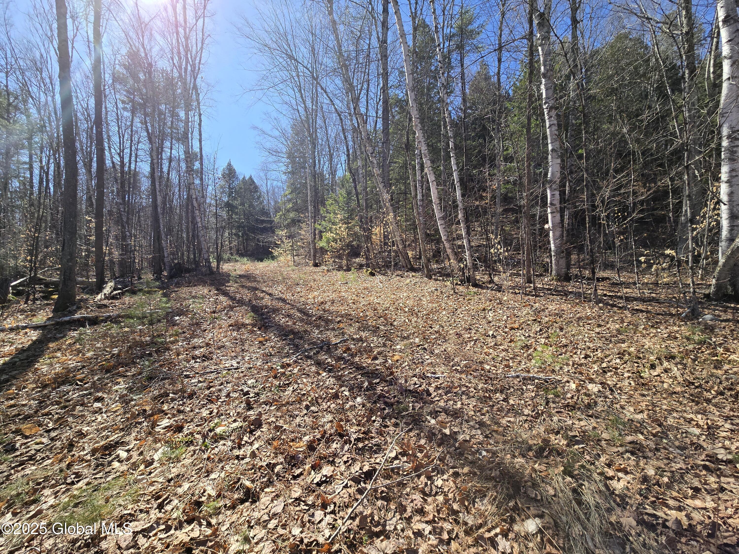 L11.231 Valentine Pond Road, Pottersville, New York image 11