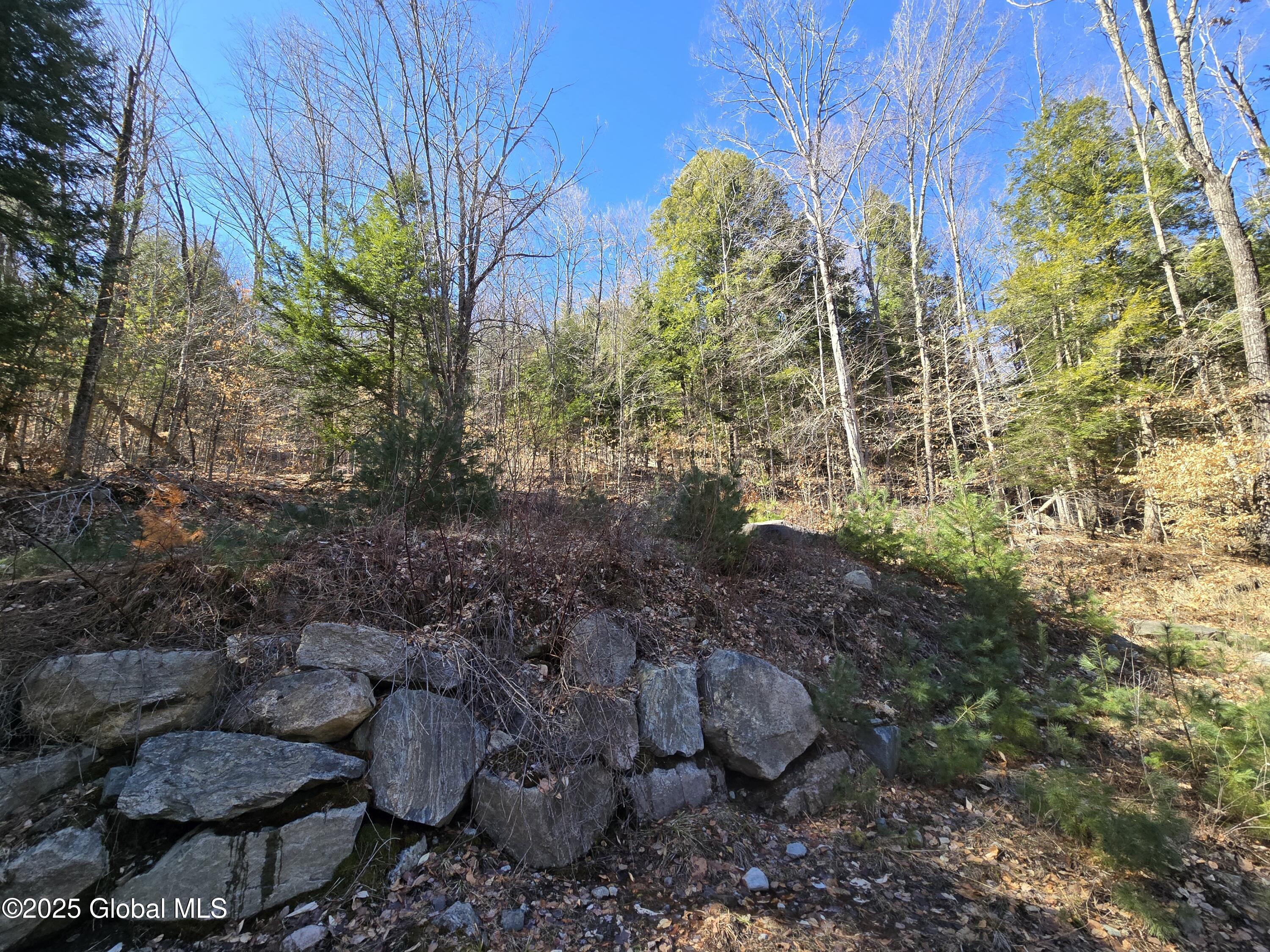 L11.231 Valentine Pond Road, Pottersville, New York image 12
