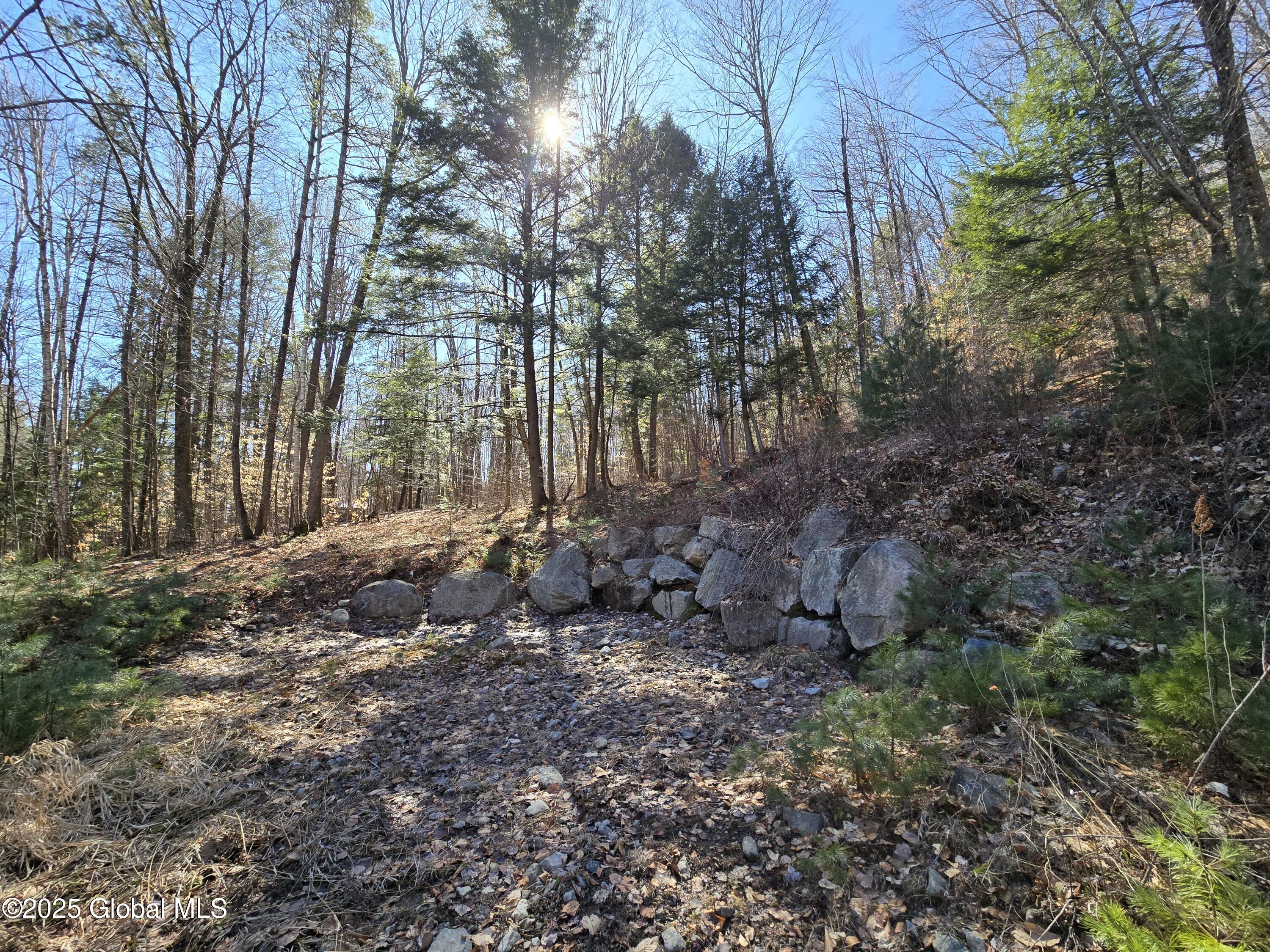 L11.231 Valentine Pond Road, Pottersville, New York image 6