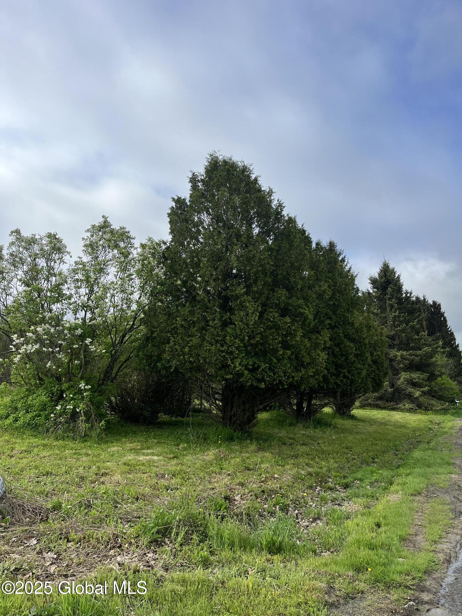 296 Evergreen Road, Cobleskill, New York image 10