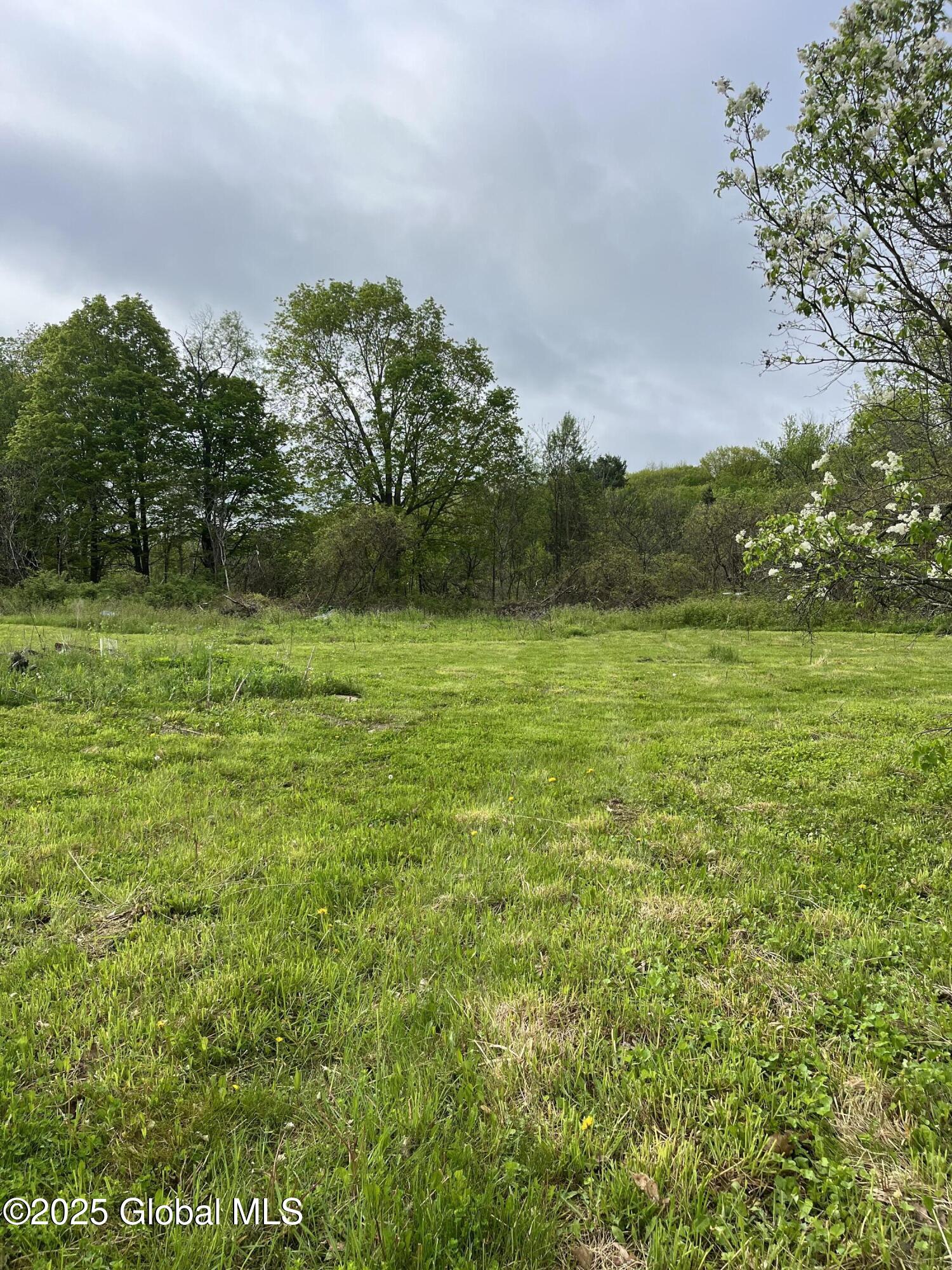 296 Evergreen Road, Cobleskill, New York image 3
