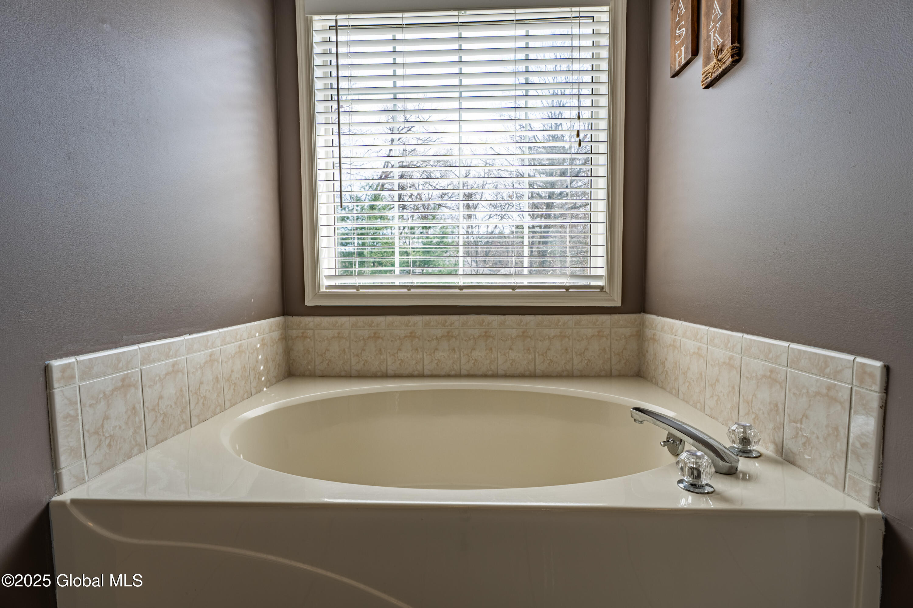 6 Toms Way, Clifton Park, New York image 22