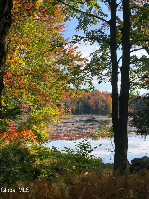 Vacant Land For Sale - 234 Cranberry Pond Road<br/> Cropseyville, NY 12052