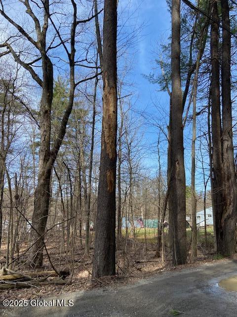 L44 Pillar Way, Fort Ann, New York image 4