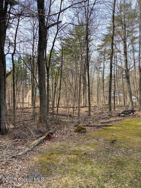 L44 Pillar Way, Fort Ann, New York image 3