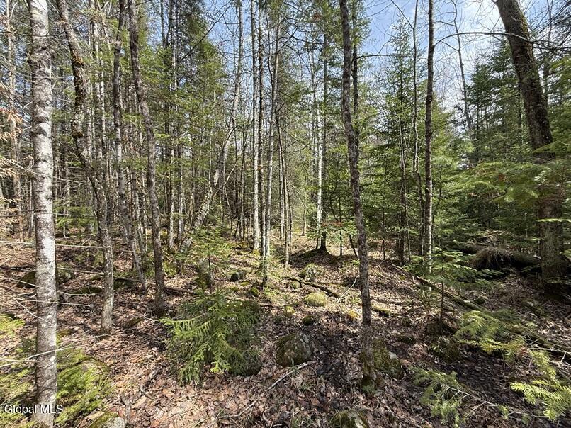 L34.4 Potash Hill Road #4