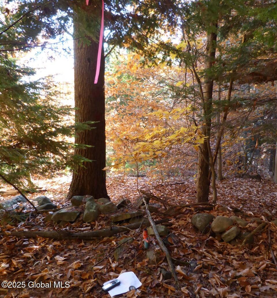 487 Antone Mountain Road, Hadley, New York image 9