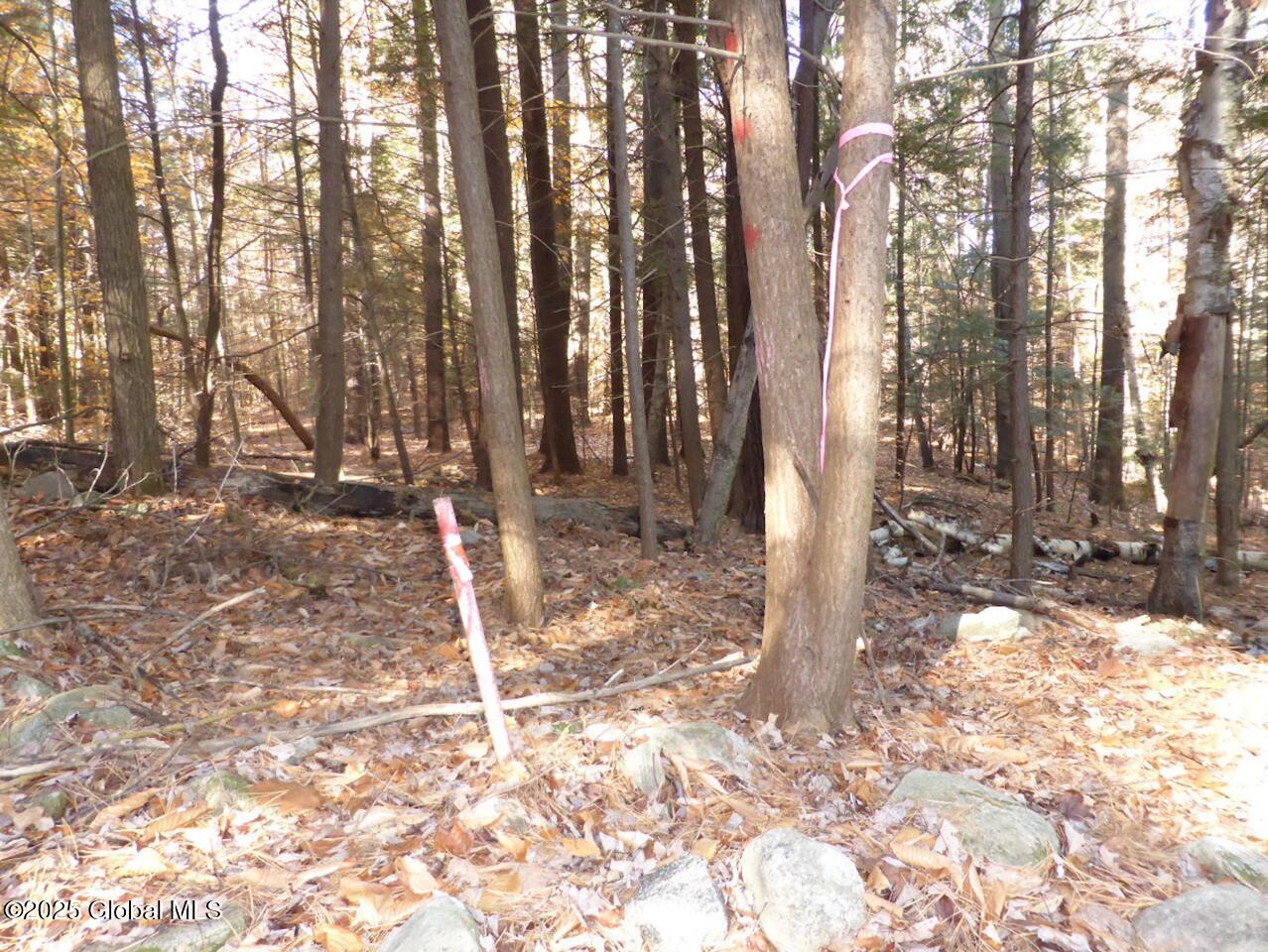 487 Antone Mountain Road, Hadley, New York image 11