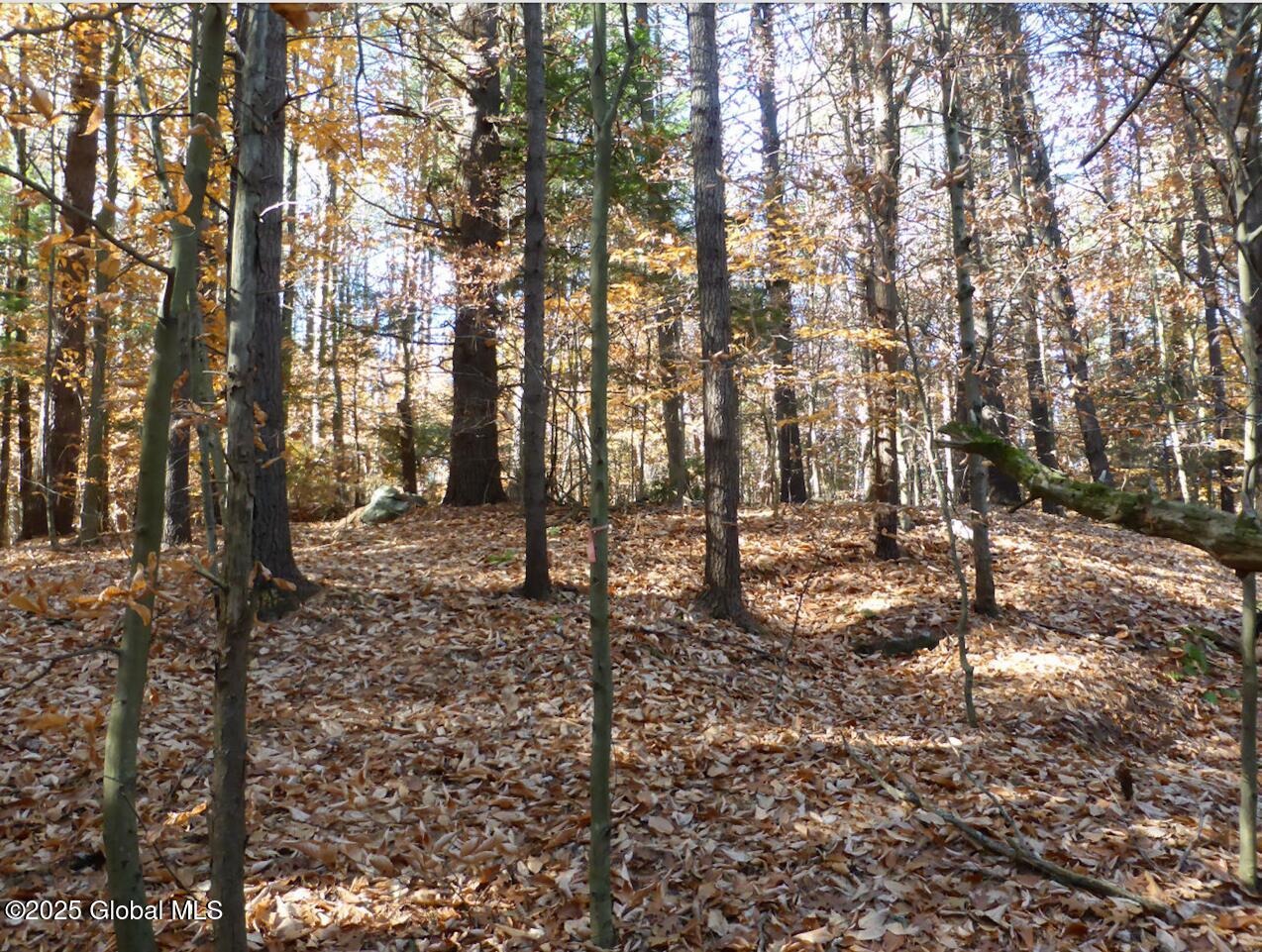 487 Antone Mountain Road, Hadley, New York image 4