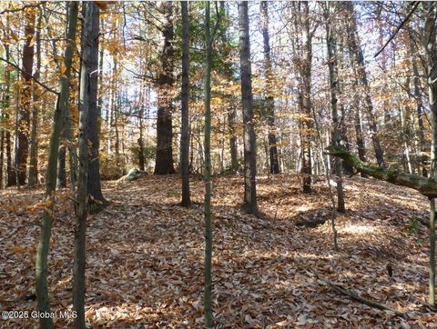 Vacant Land For Sale - 487 Antone Mountain Road<br/> Hadley, NY 12835