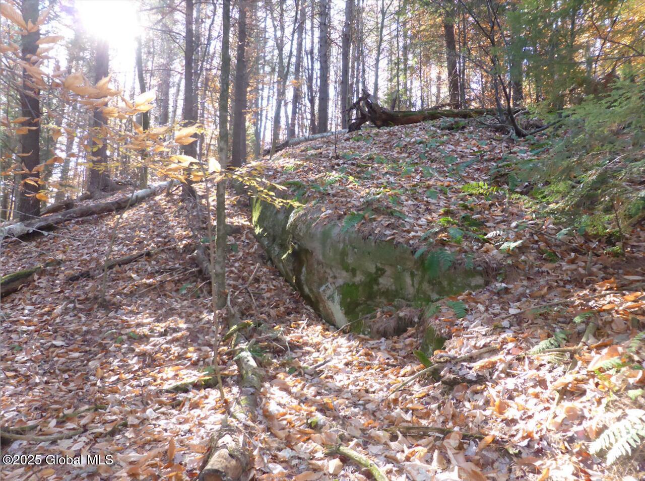 487 Antone Mountain Road, Hadley, New York image 3