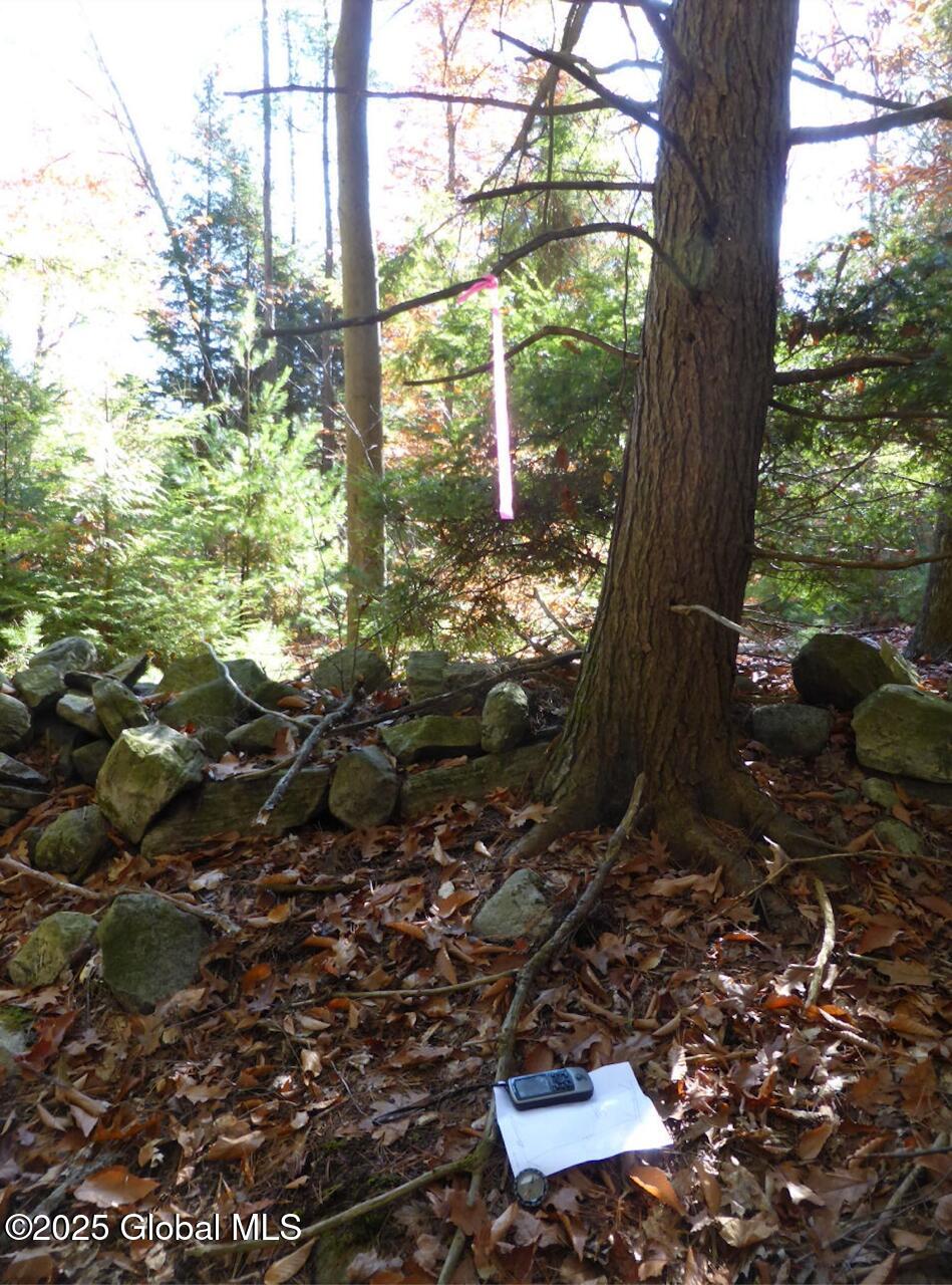 487 Antone Mountain Road, Hadley, New York image 7