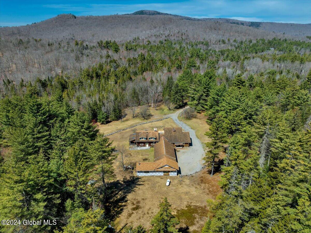 399 Loch Muller Road, Olmstedville, New York image 2