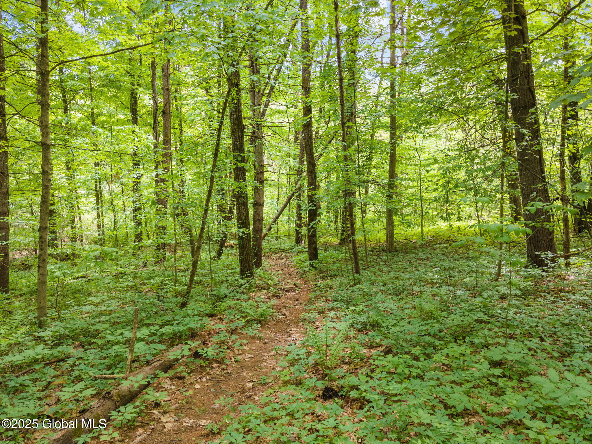 213 Paisley Road, Ballston Spa, New York image 47