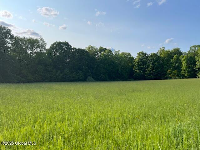 00001 Creamery Road, Westerlo, New York image 2