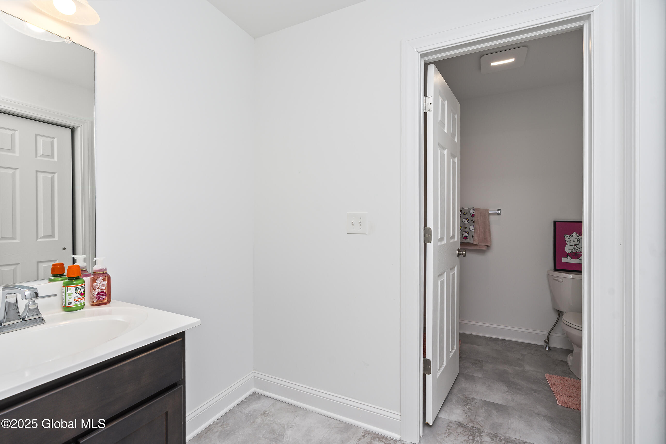 3 Appleton Street, Ballston Lake, New York image 47