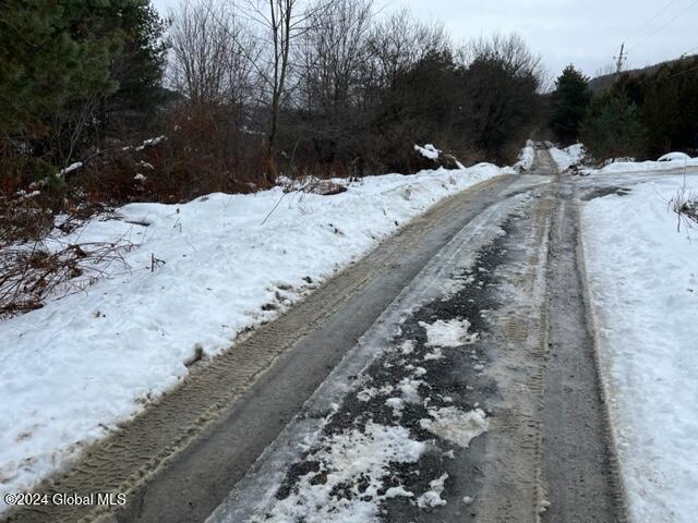 L15.1 Adlers Way, CHARLOTTEVILLE, New York image 20