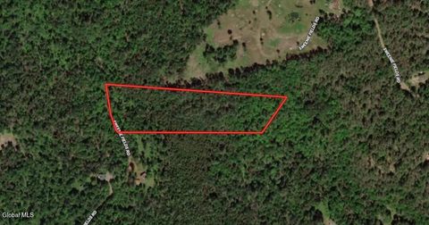 Photo of L21 Hoffman Road, Schroon Lake, NY 12870 (MLS # 202613594)