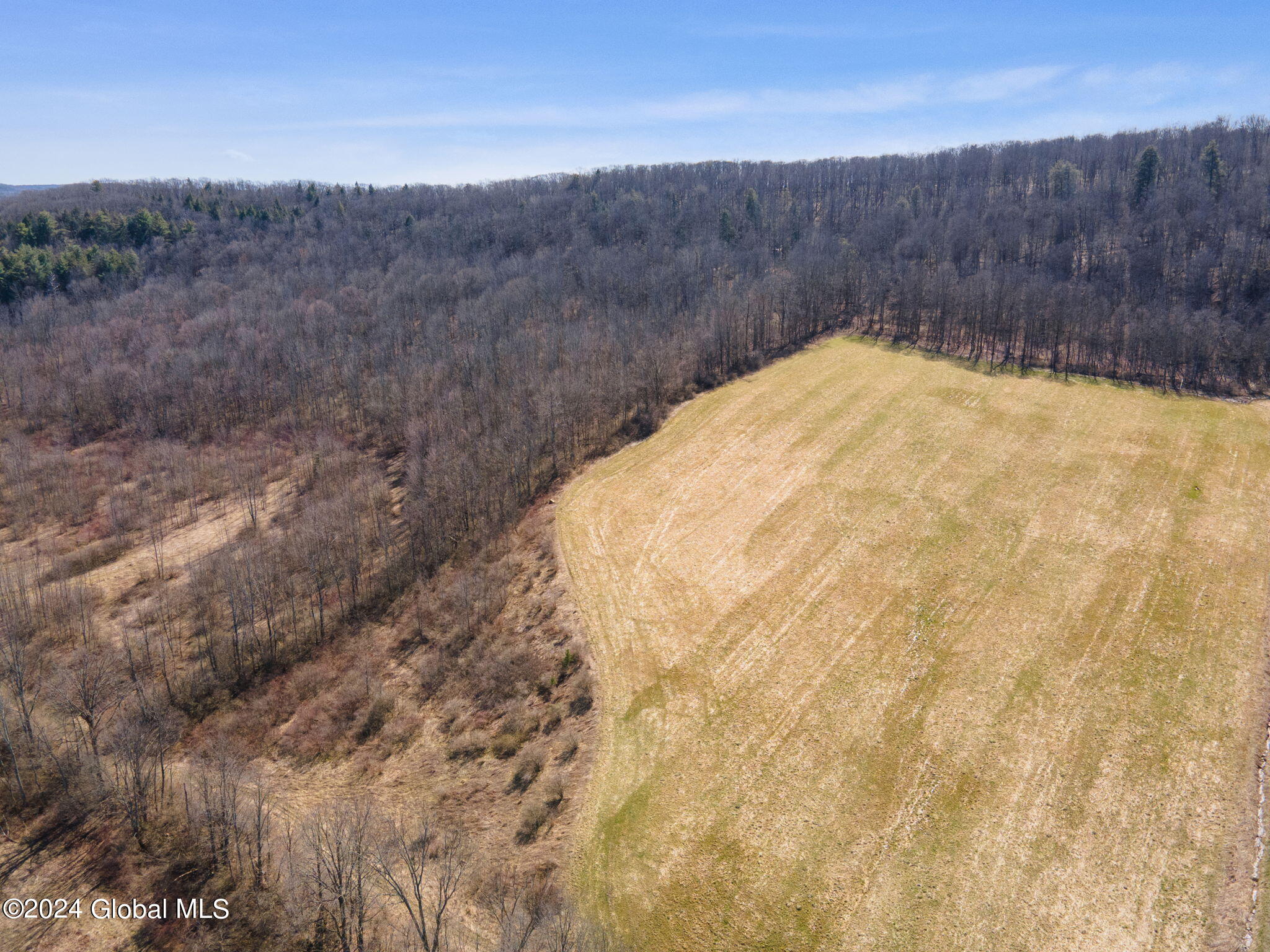 L5 Patrick Road, Cobleskill, New York image 4